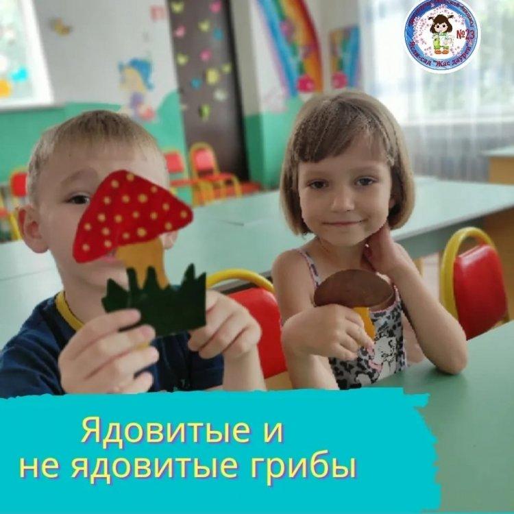 Ядовитые и не ядовитые грибы.