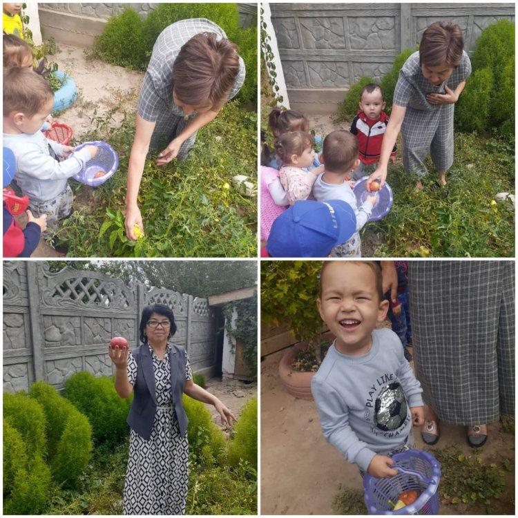 «ӨСІМДІКТЕР ӘЛЕМІ»